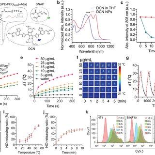 preparation  characterization  dcns nps  schematic diagram