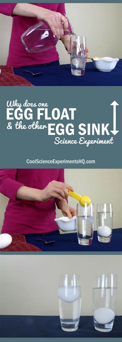 Science Project Floating Egg