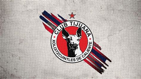 Xolos Wallpapers - Wallpaper Cave