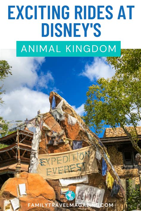 Exciting Rides at Disney's Animal Kingdom - Family Travel Magazine