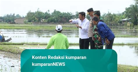 Mentan Dorong Sumut Jadi Lumbung Pangan Nasional Kumparan