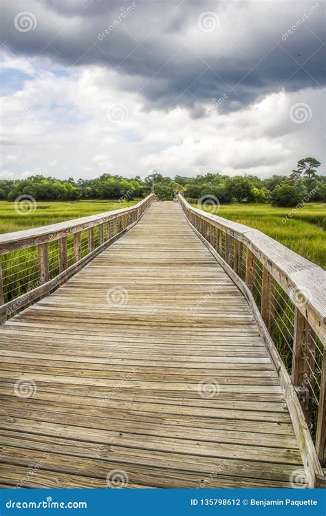 Boardwalk at Shem Creek in Mount Pleasant South Carolina Stock Photo - Image of travel, green ...