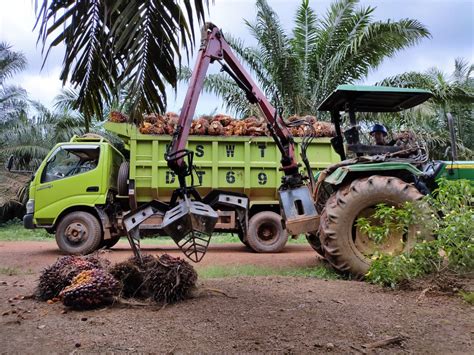 Globalplanetnews Kelapa Sawit Jadi Penyumbang Terbesar Devisa Ri Ini