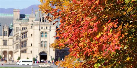 Biltmore Fall Events