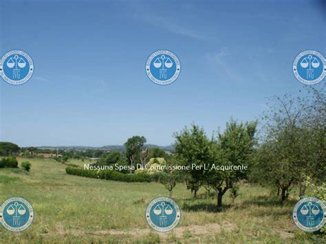 Asta Per Terreno Agricolo Loc Valle Lunga Campagnano Di Roma Rif