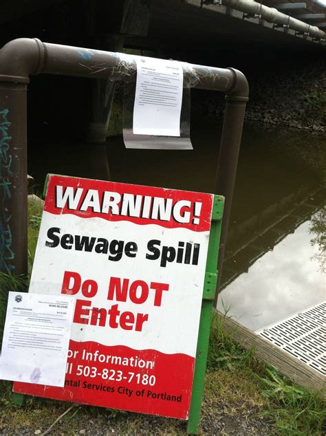 If you go down to the slough today, you're in for a big surprise. : r