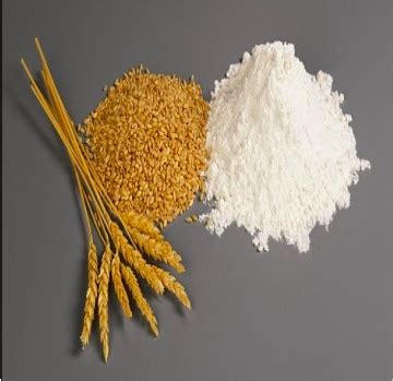 Пшеничная клейковина, глютен промышленный, пищевой, производитель ...