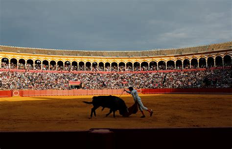 Famous matadors perform talents during a bullfight in Seville