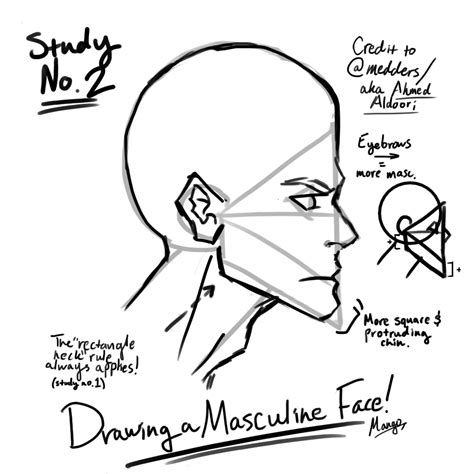 How To Draw A Masculine Face Artstudyno By Shashamango On Deviantart