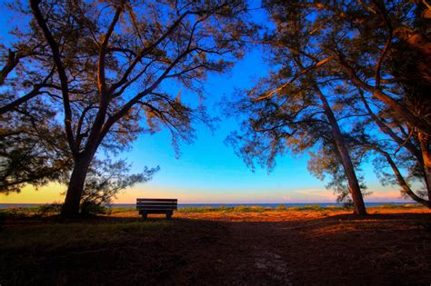 Wallpaper Sky Nature Tree Woody Plant Dawn Horizon Morning