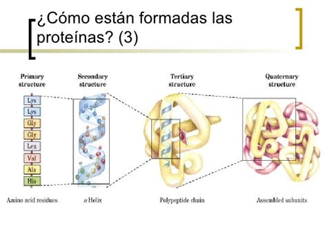 Enzimas En Medicina