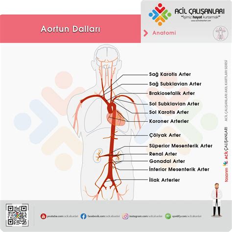 Abdominal Aort Anevrizmasına Acil Yaklaşım Acil Çalışanları