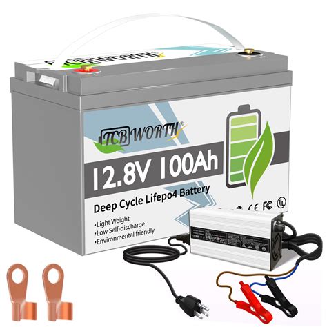 Lifepo4 Battery 12v 100ah With A 10a Chargertcbworth Battery100a Bms10000cycles For Rv