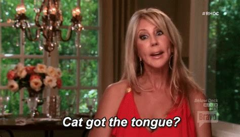 Real Housewives Cat Got Your Tongue  Find And Share On Giphy