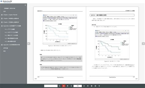 E Spss Statsguild Inc