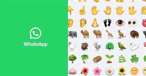 whatsapp emojis updated visual guide  full meaning