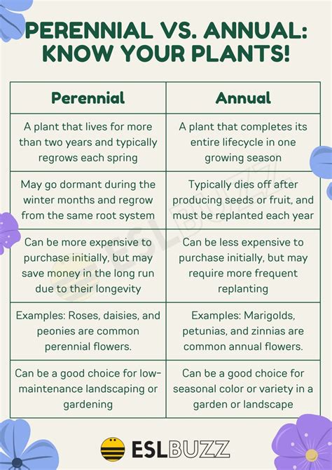 Perennial Vs Annual Know Your Plants Eslbuzz