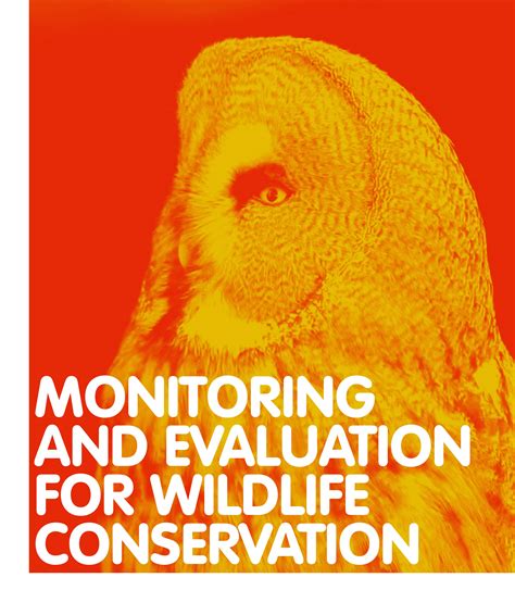 Monitoring And Evaluation Wildteamuk