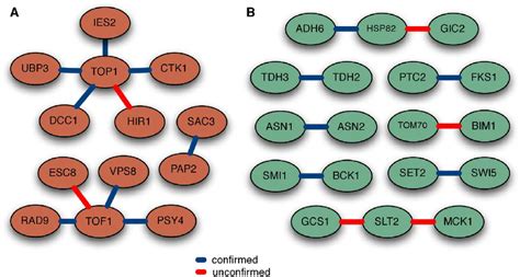 Experimental Validation Of Predicted Synthetic Lethal Interactions