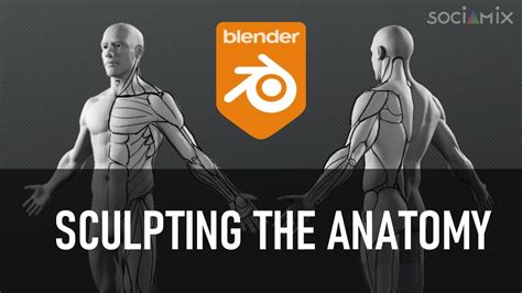 Sculpting The Human Anatomy In Blender Full Process Part 1 2