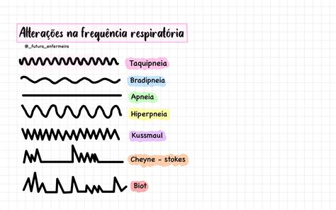 Como Medir A Frequência Respiratória Edukita