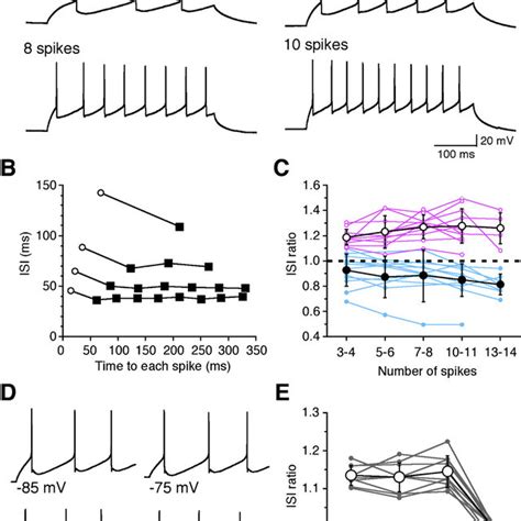 Three firing patterns of PHN neurons. Firing patterns of a ...