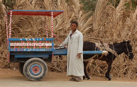 Siwa Trip (5 Days Trip) - Desert Adventures Egypt