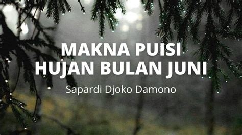 Apa Saja Makna Dalam Puisi Hujan Bulan Juni Kunci Jawaban Bahasa