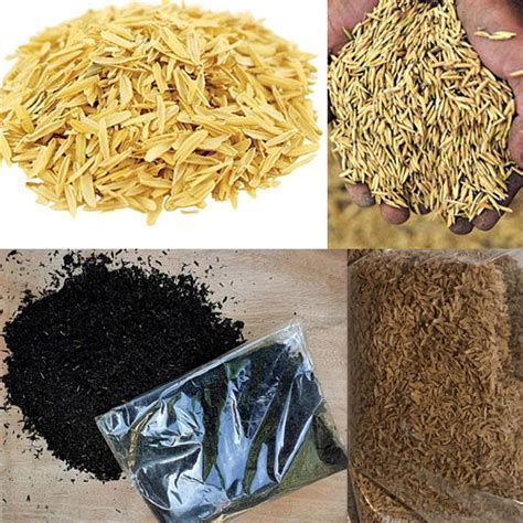 Burned Rice Husk And Ash 100 Organic Compost Fertilizer Etsy