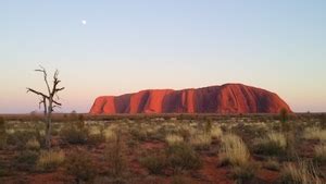 Uluru To Alice Springs Via Macdonnell Ranges Kings Canyon Palm Valley