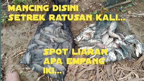 MANCING DI SPOT INI STRIKE NYA 100 AN KALI Ll SPOT NILA RAWA BACIN