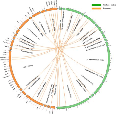 The Circos Plot Of Virulence Factors Green And Prophages Yellow