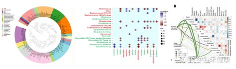 如何读懂和利用你的微生物多样性测序结果？ 知乎