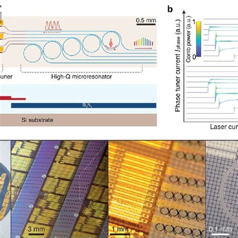 Integration Of Both Semiconductor Lasers And Microresonators On A