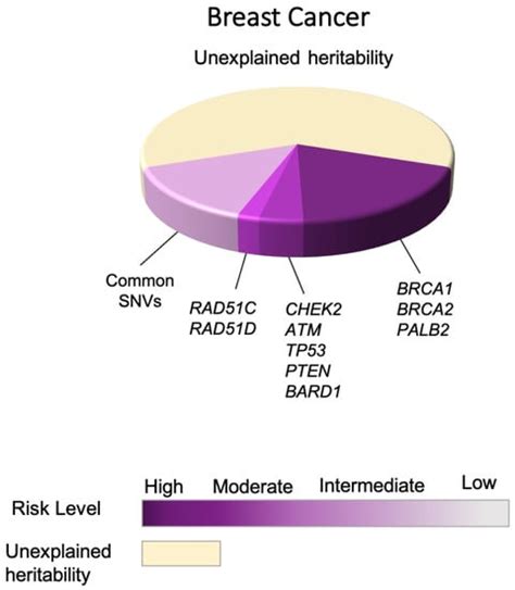 Cancers Free Full Text Risks And Function Of Breast Cancer