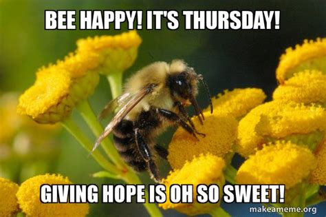 Bee Happy It S Thursday Giving Hope Is Oh So Sweet Good Guy Bee