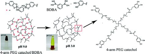 Ph Responsive Polymers Polymer Chemistry Rsc Publishing Doi