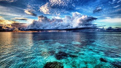 Hd Wallpaper Brown Cottage And Ocean The Ocean Exotic Moorea