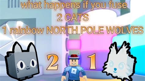 What Happens If You Fuse Cats And Rainbow North Pole Wolf Youtube