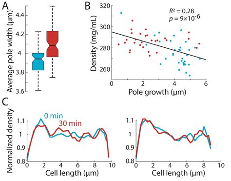 Figures And Data In Variations Of Intracellular Density During The Cell