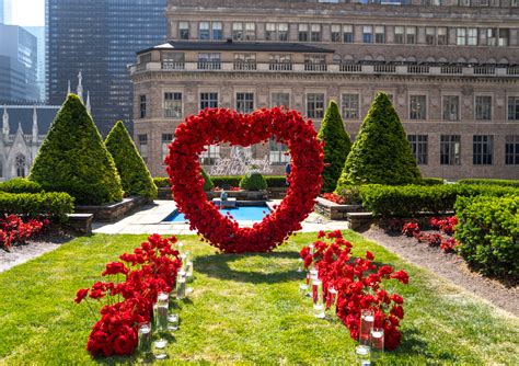 Rooftop Garden | Proposal Ideas and Planning