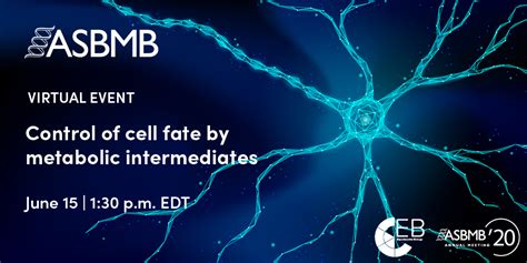 Control of cell fate by metabolic intermediates