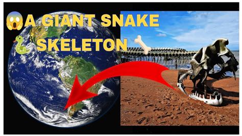 I Found A Giant Snake Skeleton Found On Google Earth Wondersofearth