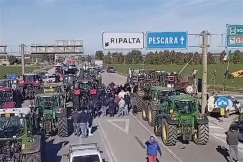 Marcia Dei Trattori In Puglia Agricoltori Foggiani In Protesta