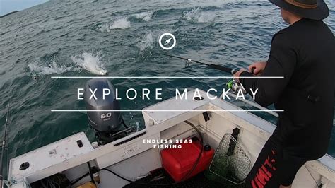 Explore Mackay S Inshore Pelagic Fishing Scene Tuna And Spotted