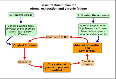 Adrenal Fatigue Exhaustion Stress And Cortisol Saul Marcus