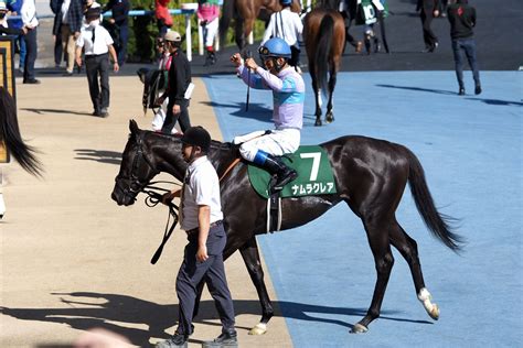 【函館スプリントs】浜中「手応え通り」ナムラクレアが完勝 競馬ニュースなら競馬のおはなし