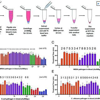 Biphasic reaction schematic and analysis of blood before and after... | Download Scientific Diagram