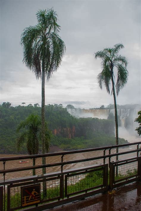 Paisagem Bonita Vistas Da Cachoeira E Das Palmeiras No Tempo