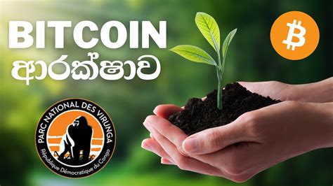 ලක සනදරම වස වනනතරය අදටත පවතනන bitcoin නස කවවත ඔය